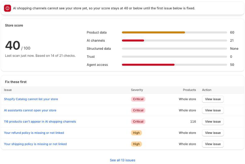Neryn's home page in Shopify: a store score of 40 out of 100 and the five issues to fix first